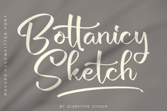 Bottanicy Sketch Font: A Designer's Real-World Review